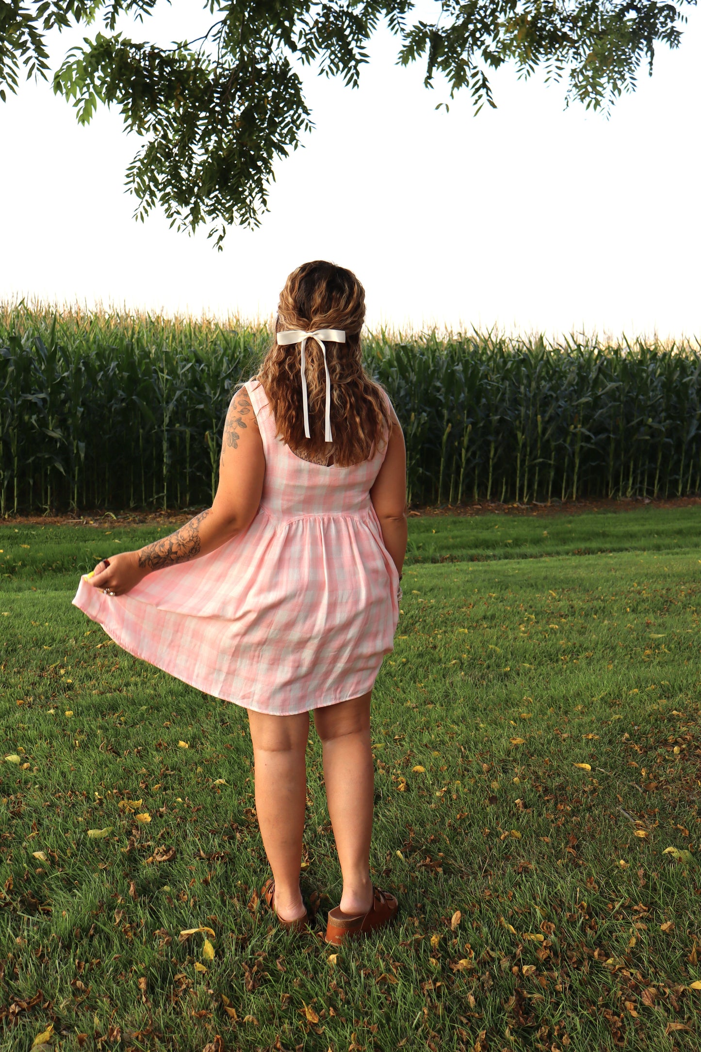 Pink Gingham Dress